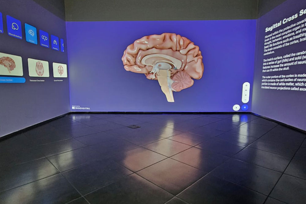 Immersive projection room with a large interactive anatomical display covering the walls
