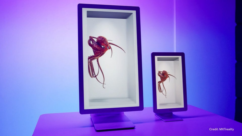 Looking Glass holographic displays showing 3D content in multiple form factors at a trade show